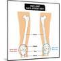 Knee Joint - Bones (Femur, Tibia, Fibula, Patella)-udaix-Mounted Art Print