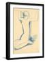 Kneeling Blue Caryatid (Anna Akhmatova, 1889-1966) - Dessin De Amedeo Modigliani (1884-1920), C. 19-Amedeo Modigliani-Framed Giclee Print