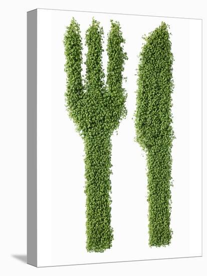 Knife and Fork in Cress-Kröger & Gross-Stretched Canvas