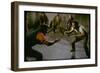 Knife Fight Scene from West Side Story-Gjon Mili-Framed Photographic Print