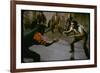 Knife Fight Scene from West Side Story-Gjon Mili-Framed Photographic Print