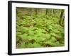 Knife River, North Shore Lake Superior, Minnesota, Usa-Rob Sheppard-Framed Photographic Print