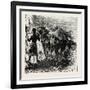 Knight and Horse-null-Framed Giclee Print