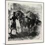 Knight and Horse-null-Mounted Giclee Print