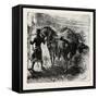 Knight and Horse-null-Framed Stretched Canvas