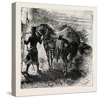 Knight and Horse-null-Stretched Canvas