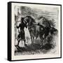 Knight and Horse-null-Framed Stretched Canvas