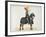 Knight in Armour on his Horse, Plate from 'A History of the Development and Customs of Chivalry'-Friedrich Martin Von Reibisch-Framed Giclee Print