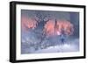 Knight with Trident in Winter Landscape,Illustration Painting-Tithi Luadthong-Framed Art Print