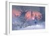 Knight with Trident in Winter Landscape,Illustration Painting-Tithi Luadthong-Framed Art Print