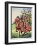 Knights Charging into Battle-Peter Jackson-Framed Premium Giclee Print