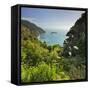 Knights Point Lookout, West Coast, South Island, New Zealand-Rainer Mirau-Framed Stretched Canvas