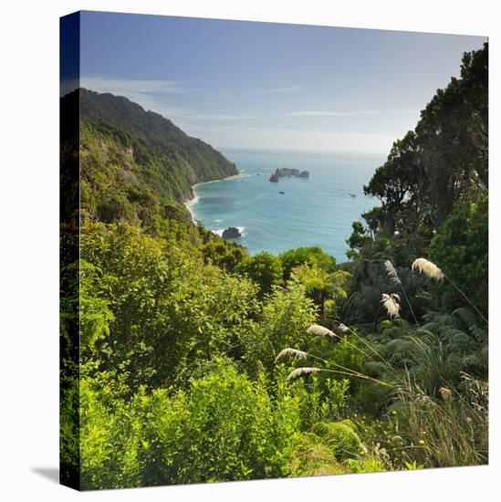 Knights Point Lookout, West Coast, South Island, New Zealand-Rainer Mirau-Stretched Canvas