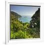 Knights Point Lookout, West Coast, South Island, New Zealand-Rainer Mirau-Framed Photographic Print