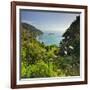 Knights Point Lookout, West Coast, South Island, New Zealand-Rainer Mirau-Framed Photographic Print