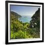 Knights Point Lookout, West Coast, South Island, New Zealand-Rainer Mirau-Framed Photographic Print