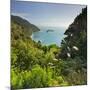 Knights Point Lookout, West Coast, South Island, New Zealand-Rainer Mirau-Mounted Photographic Print