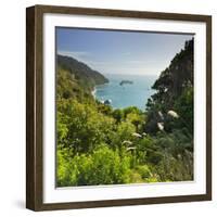 Knights Point Lookout, West Coast, South Island, New Zealand-Rainer Mirau-Framed Photographic Print