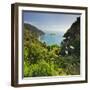 Knights Point Lookout, West Coast, South Island, New Zealand-Rainer Mirau-Framed Photographic Print