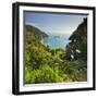 Knights Point Lookout, West Coast, South Island, New Zealand-Rainer Mirau-Framed Photographic Print