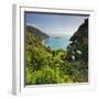 Knights Point Lookout, West Coast, South Island, New Zealand-Rainer Mirau-Framed Photographic Print