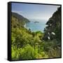 Knights Point Lookout, West Coast, South Island, New Zealand-Rainer Mirau-Framed Stretched Canvas