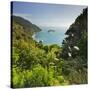 Knights Point Lookout, West Coast, South Island, New Zealand-Rainer Mirau-Stretched Canvas