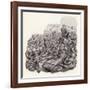 Knights Slaughtered on the Battlefield-Pat Nicolle-Framed Giclee Print