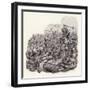 Knights Slaughtered on the Battlefield-Pat Nicolle-Framed Giclee Print