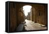 Knights Street in Rhodes, Rhodes Island, Dodecanese, Greek Islands, Greece, Europe-Michal Szafarczyk-Framed Stretched Canvas