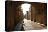 Knights Street in Rhodes, Rhodes Island, Dodecanese, Greek Islands, Greece, Europe-Michal Szafarczyk-Stretched Canvas