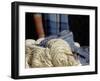 Knitting Needles and Handspun Wool at a Yorktown Reenactment, Virginia-null-Framed Photographic Print