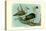 Knob-Billed Ducks-Louis Agassiz Fuertes-Stretched Canvas