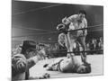 Wood Mount
