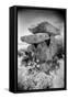 Knockeen Dolmen, County Waterford, Ireland-Simon Marsden-Framed Stretched Canvas