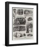 Knocking Down a Wild Beast Show, the Sale of the Royal Windsor Castle Menagerie-null-Framed Premium Giclee Print