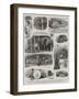 Knocking Down a Wild Beast Show, the Sale of the Royal Windsor Castle Menagerie-null-Framed Giclee Print