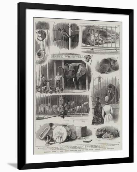 Knocking Down a Wild Beast Show, the Sale of the Royal Windsor Castle Menagerie-null-Framed Giclee Print