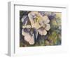 Knockout Roses-Sarah Davis-Framed Giclee Print