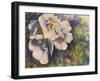 Knockout Roses-Sarah Davis-Framed Giclee Print