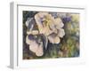 Knockout Roses-Sarah Davis-Framed Giclee Print