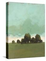 Knoll View 4-David Edwards-Stretched Canvas