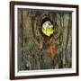 "Knothole Baseball", August 30,1958-Norman Rockwell-Framed Giclee Print