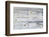 Knotty Wood Background-dawnamoore-Framed Photographic Print