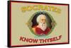 Know Thyself-null-Framed Stretched Canvas