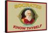 Know Thyself-null-Framed Stretched Canvas