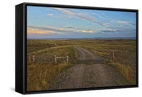 Knowing Which Cattle Guard to Cross-Amanda Lee Smith-Framed Stretched Canvas