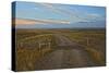 Knowing Which Cattle Guard to Cross-Amanda Lee Smith-Stretched Canvas