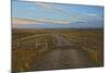 Knowing Which Cattle Guard to Cross-Amanda Lee Smith-Mounted Photographic Print