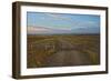 Knowing Which Cattle Guard to Cross-Amanda Lee Smith-Framed Photographic Print